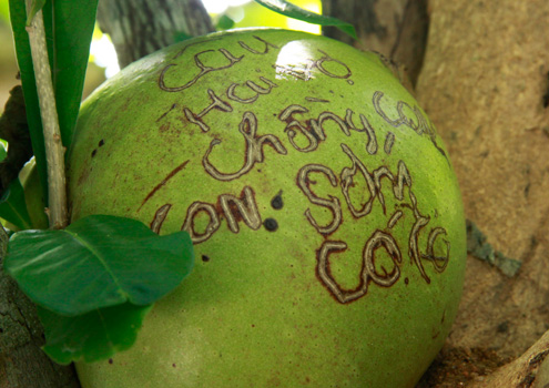 Người[-]xin[-]được[-]có[-]con.